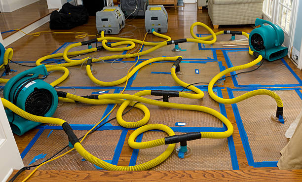 Professional Water Damage Restoration technician working in Chapin, SC